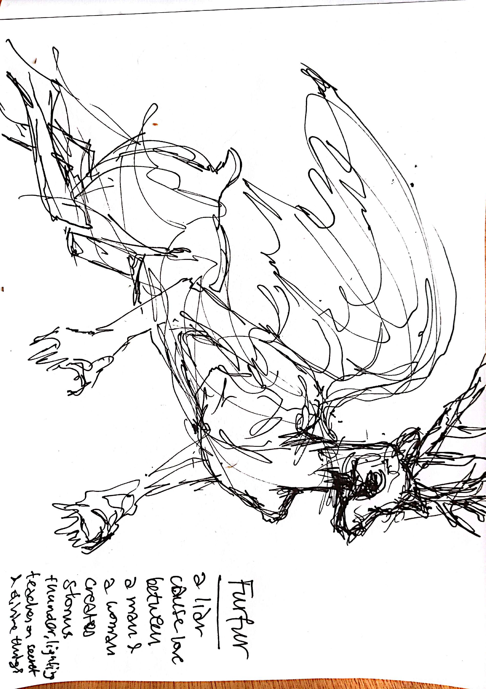 drawings